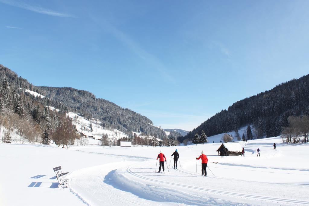 Ferienwohnung Earthloft Bad Kleinkirchheim Bilik gambar